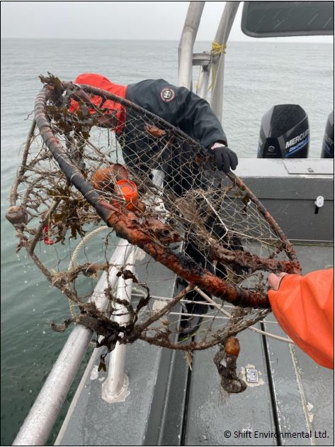 DFO prioritizes collection of 'harmful' discarded fishing equipment