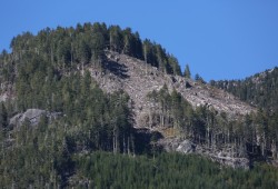 A clearcut in Nootka Sound. According to the Salmon Parks project application, at the current rate of harvest all old growth forests in Mowachaht/Muchalaht territory will be logged in the next 15 years. 