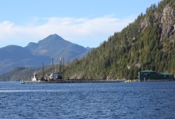 Salmon farms are located throughout Nuu-chah-nulth territory, including site in Nootka Sound operated by Grieg Seafood. (Eric Plummer photo)