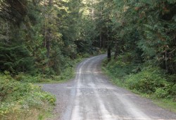 Access to 5040 Peak is via the Marion Main Forest Service Road located between Port Alberni and Ucluelet.