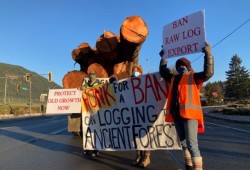 Protestors halted logging trucks north on Duncan on Dec. 2. (Rain4est Flying Squad photos)
