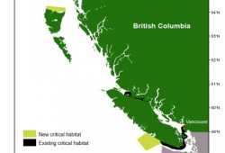 Fisheries and Oceans Canada has more that doubled the critical habitat for killer whales, including a new area off the west coast of Vancouver Island. (DFO map)
