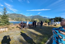 The first-time sighting of European/Asian geese in British Columbia has drawn a gaggle of bird watchers to the tiny community of Port Renfrew in Pacheedaht First Nation territory. (Arliss Jones photo)