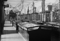 The museum is 150 years old, and many of the items in the Northwest Coast Hall were taken from First Nations from 1880-1910. Pictured is the hall in 1902.
