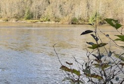 “Search and rescue are monitoring the water today awaiting the opportunity to conduct a swift water recovery of the vehicle which is believed to contain the second missing person,” stated police. (Alberni Valley Rescue Squad photo)