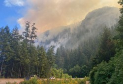 Since June 6 the Cameron Bluffs wildfire has stopped bus service from Nanaimo to Port Alberni. (BC Wildfire Services photo)