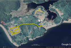 This satellite image shows Ahousaht's roads that are already paved, highlighted in yellow. (Googlemaps image) 