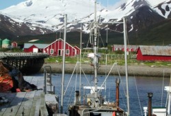 Commercial gillnet boats are docked in False Pass, Alaska, during the June sockeye salmon fishery. (Wikimedia Commons photo)