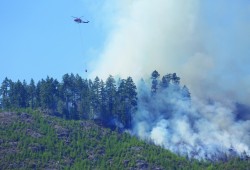 Forest fires have intensified in size and frequency in recent years, causing continued effects on salmon habitat. Pictured is a blaze on the Arbutus Ridge over the Alberni Inlet in 2018. (Eric Plummer photo)
