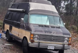 Henry was driving a brown 1980 Dodge Royal camper van with BC license plate NB2 06H. It has black spray-painted patches and logos.