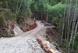 Access road along Ahtaapq Creek near Hot Springs Cove, where the Hesquiaht First Nation plans to develop hydroelectric power. (Barkley Project Group photo)