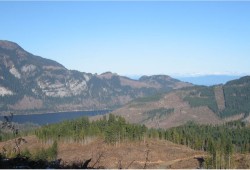 The Horne Lake Connector extends east of Port Alberni around Horne Lake, using a network of forestry roads. The alternative option was the subject of a provincially commissioned study in 2005. (ND LEA Consultants photo)