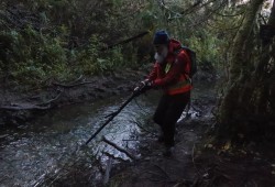 A Parks Canada employee counts fish on S-2, a stream that runs from the Cheewaht River.