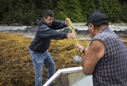 James Hansen hands Frank Short the boat anchor on Mission Island, near Kyuquot.