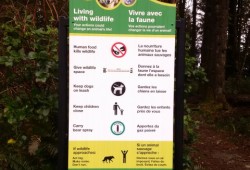 By the end of the winter Parks Canada plans to erect 22 signs warning visitors of conflict with wildlife in the Pacific Rim National Park. (Parks Canada photo)