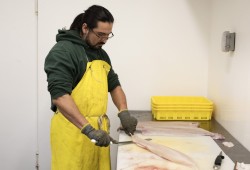 Stevie Dennis processes a halibut inside Naas Foods in Tofino, on February 2, 2022.