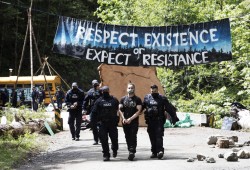 A protestor is arrested at the Caycuse old-growth logging blockade established by the Rainforest Flying Squad, near Port Renfrew, on May 19, 2021. (Melissa Renwick photo)