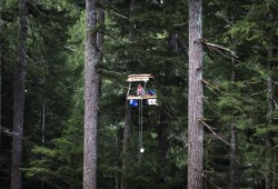 A tree-sitter, who goes by Pony, said she spent four days in a hanging structure to delay the logging of old-growth forest near the Caycuse blockade, on May 20, 2021. (Melissa Renwick photo)