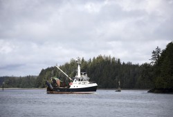 A commercial fishing boat drives through the Ucluelet inlet, on June 11, 2020. (Melissa Renwick photo)