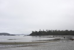 In places like Tofino, low tide in the summer is generally in the morning. Whereas places like Victoria and Vancouver experience low tide around noon – during the hottest time of the day, said University of British Columbia Professor Christopher Harley.