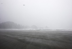 A wind storm swept rain across a deserted Chesterman Beach, in Tofino, on Jan. 5, 2021.