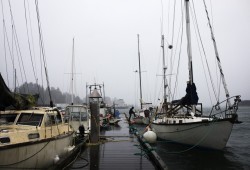 Sail boats anchored at the crab dock in Tofino rocked from side-to-side as a wind storm swept through coast, on Jan. 5, 2021.