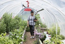 Holding a tomato plant, Gail K. Gus proudly walks through the Tseshaht community garden.