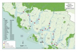 Fish farm sites located in Clayoquot Sound (Wilderness Committee map).