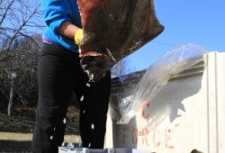 Matti Cootes prepares a halibut for distribution.
