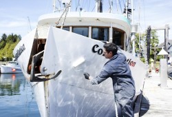 James Martin paints his brother's boat in between fishing trips in the Ucluelet harbour. "You want to feel proud of the boat that you work on," he said.
