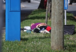 A man lies on the grass by Pandora Street in Victoria. (Eric Plummer photo)