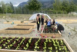Volunteers managed the community garden throughout 2021. (Submitted photo)