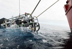 A submersible drop camera was used to observe seamount life, lowered from the Coast Guard vessel John P. Tully.