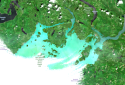 Barkley Sound has turned turquoise due to a non-toxic algae bloom called coccolithophore. This satellite image was capture on July 6 by DFO.