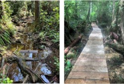 The storm washed out sections of the trail, toppled trees and created unstable slopes that made areas impassable or unsafe for hikers to cross. Multiple boardwalks have been rebuilt. 