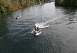 First Nations fishers work with the September tides on the Somass River in Port Alberni. (Eric Plummer photos)