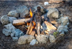 As of early July, regulation Category 1 campfires are still permitted in the Coastal Fire Centre, which includes Vancouver Island, the Sunshine Coast and the Lower Mainland. (BC Wildfire Service photo)