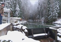 The Hupacasath First Nation pioneered the development of a First Nation micro-hydro operation with the China Creek Micro-Hydro Power Plant, which has been in operation since 2006. China Creek produces approximately 24 gigawatts of power annually. (BC Rural Centre video still)