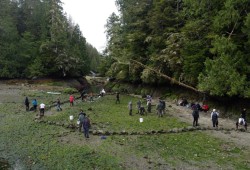 Nuu-chah-nulth youth warriors society restore clam gardens by installing a rock wall that follows the lowest tide point at Meares Island on Tla-o-qui-aht territory. (Submitted photos)