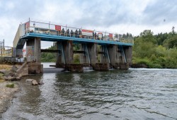 A plan to raise the weir on the Cowichan River conservation project would positively translate to the river’s health, fish, recreation opportunities and the people living along the lake, say advocates for the project. (Outdoor Recreation Council of B.C. photo) 