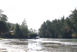 The beach area directly in front of Crystal Cove Resort, which is located on the far south end of tinwis and off Cedarwood Place, is not within the designated boundary of the official renaming zone. 
