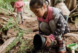 Trees are planted in Clayoquot sound, part of a project the Hesquiaht First Nation and Redd Fish Restoration Society are undertaking to restore salmon habitat.