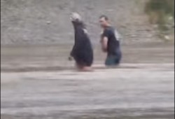 A video shows two men braving the flood to save a small dog paddling in the water. 