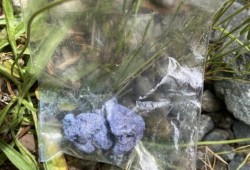 So far Fentanyl and its analogues has been found in 74 per cent of B.C.'s illicit drug deaths this year. Pictured is a bag of Fentanyl that was found by a child in Port Alberni. (Eric Plummer photo)