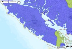 At the end of May, nearly all of Vancouver Island was under a “very low” fire danger rating, according to the BC Wildfire Service. (BC Wildfire Service map)