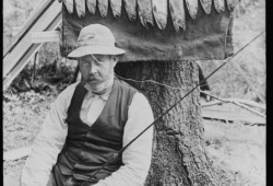It was in 1896 when J.W. Laing, a fellow of the Royal Geographical Society of London, went on a canoe trip to explore Great Central Lake northwest of Port Alberni, noticing markings on giant rock.
