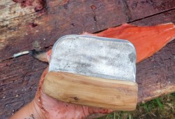 The ulu-syle chitukthl blade brings ergonomic advantages, more closely resembling shells Nuu-chah-nulth-aht used to cut fish.