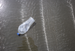 Volunteers typically clean drink containers, fishing debris and dock floats from beaches.