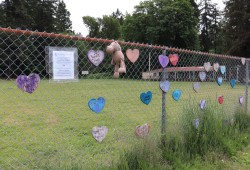 The Heart Project features brightly coloured wooden hearts hanging from a chain-link fence at Dry Creek Park off of 4th Avenue. (Denise Titian photo)