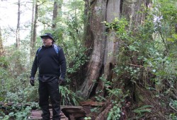 Saya Masso, Tla-o-qui-aht’s natural resource manager, speaks in the First Nation’s Meares Island Tribal Park. (Eric Plummer photo)